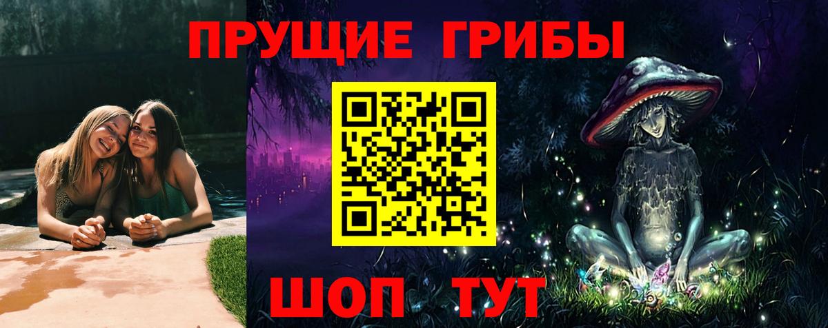 Галлюциногенные грибы Psilocybine cubensis Саров